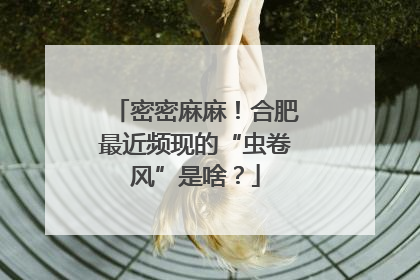 密密麻麻！合肥最近频现的“虫卷风”是啥？