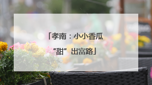 孝南：小小香瓜 “甜”出富路