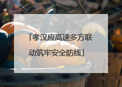 孝汉应高速多方联动筑牢安全防线