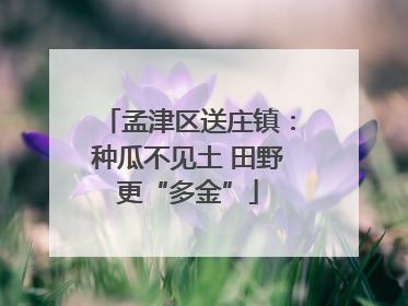 孟津区送庄镇：种瓜不见土 田野更“多金”