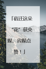 宿迁这朵“花”获央媒、省媒点赞！