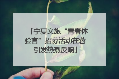 宁夏文旅“青春体验官”招募活动在蓉引发热烈反响