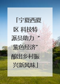 宁夏西夏区 科技特派员助力“紫色经济”酿出乡村振兴新风味