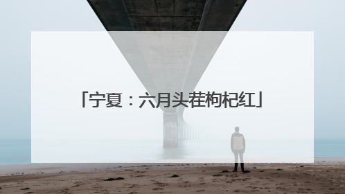 宁夏：六月头茬枸杞红