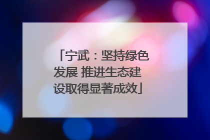 宁武：坚持绿色发展 推进生态建设取得显著成效