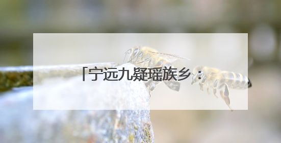 宁远九疑瑶族乡：“青蓝结对” 助力年轻干部成长