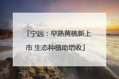 宁远：早熟黄桃新上市 生态种植助增收