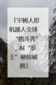 宇树人形机器人全球“格斗秀”，AI“拳王”硬核破圈