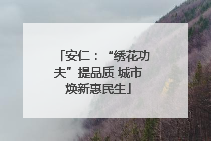 安仁：“绣花功夫”提品质 城市焕新惠民生