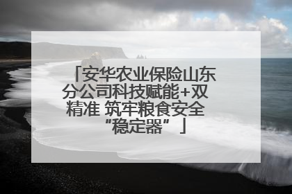 安华农业保险山东分公司科技赋能+双精准 筑牢粮食安全“稳定器”