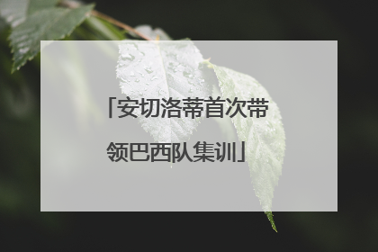 安切洛蒂首次带领巴西队集训