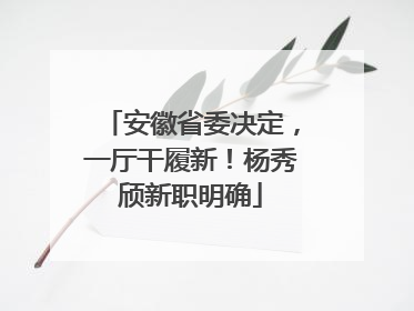 安徽省委决定，一厅干履新！杨秀颀新职明确