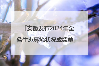 安徽发布2024年全省生态环境状况成绩单