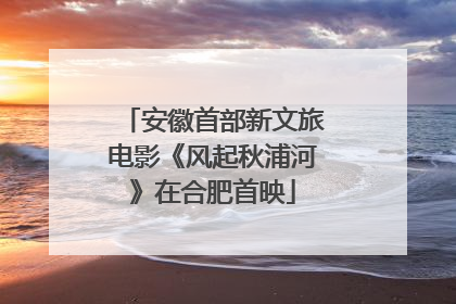 安徽首部新文旅电影《风起秋浦河》在合肥首映