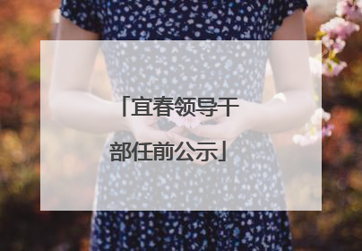 宜春领导干部任前公示