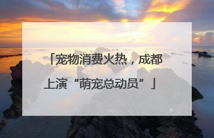 宠物消费火热，成都上演“萌宠总动员”