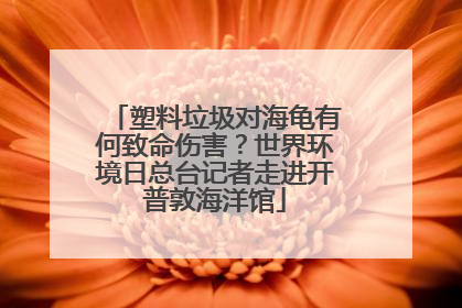塑料垃圾对海龟有何致命伤害？世界环境日总台记者走进开普敦海洋馆