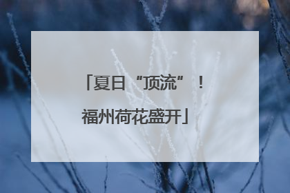 夏日“顶流”！福州荷花盛开