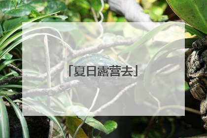 夏日露营去