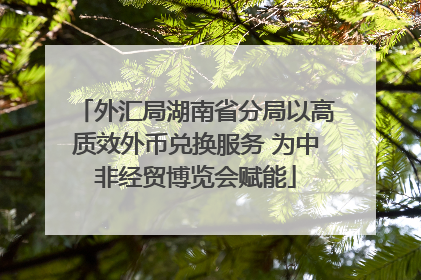 外汇局湖南省分局以高质效外币兑换服务 为中非经贸博览会赋能
