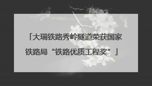 大瑞铁路秀岭隧道荣获国家铁路局“铁路优质工程奖”