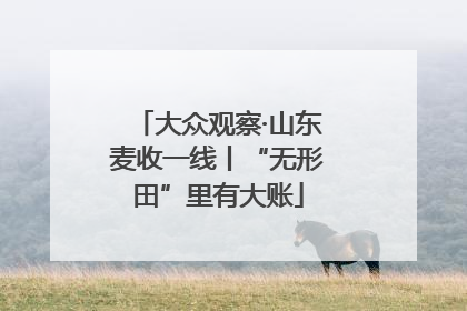 大众观察·山东麦收一线丨“无形田”里有大账