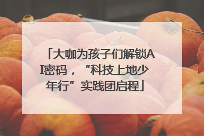 大咖为孩子们解锁AI密码，“科技上地少年行”实践团启程
