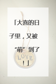 大喜的日子里，又被“萌”到了！
