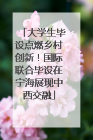 大学生毕设点燃乡村创新！国际联合毕设在宁海展现中西交融