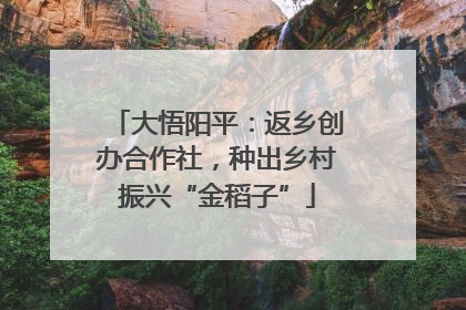 大悟阳平：返乡创办合作社，种出乡村振兴“金稻子”