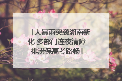 大暴雨突袭湖南新化 多部门连夜清障排涝保高考路畅