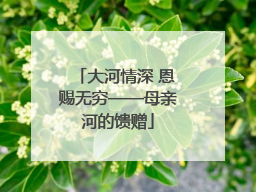 大河情深 恩赐无穷——母亲河的馈赠