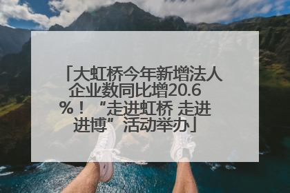 大虹桥今年新增法人企业数同比增20.6%！“走进虹桥 走进进博”活动举办