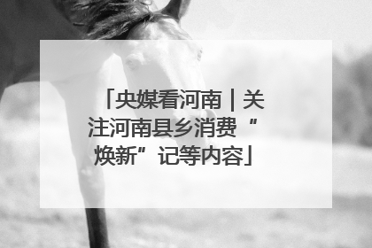 央媒看河南｜关注河南县乡消费“焕新”记等内容