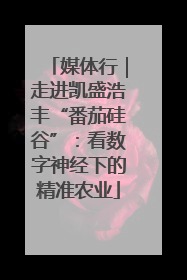 媒体行｜走进凯盛浩丰“番茄硅谷”：看数字神经下的精准农业
