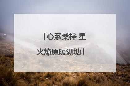心系桑梓 星火燎原暖湖塘