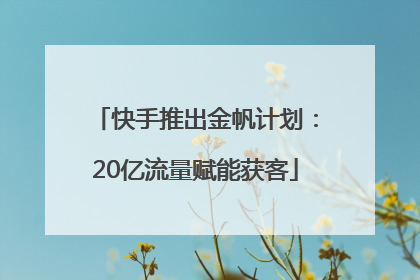 快手推出金帆计划：20亿流量赋能获客