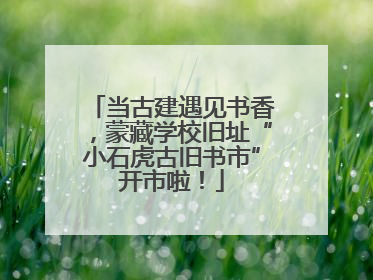 当古建遇见书香，蒙藏学校旧址“小石虎古旧书市”开市啦！