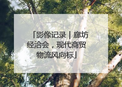 影像记录｜廊坊经洽会，现代商贸物流风向标