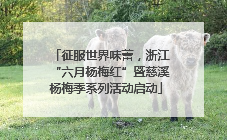 征服世界味蕾，浙江“六月杨梅红”暨慈溪杨梅季系列活动启动