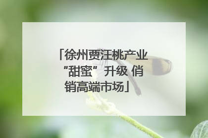 徐州贾汪桃产业“甜蜜”升级 俏销高端市场