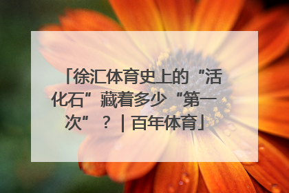 徐汇体育史上的“活化石”藏着多少“第一次”？｜百年体育