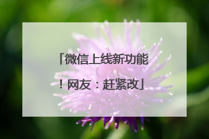 微信上线新功能！网友：赶紧改