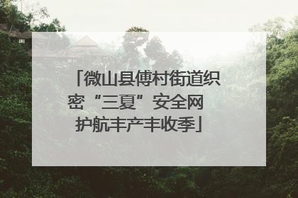 微山县傅村街道织密“三夏”安全网 护航丰产丰收季