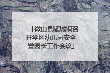 微山县驩城镇召开学区幼儿园安全暨园长工作会议