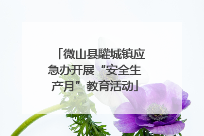微山县驩城镇应急办开展“安全生产月”教育活动