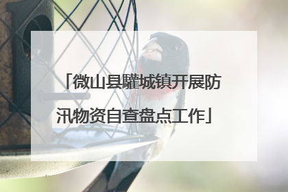 微山县驩城镇开展防汛物资自查盘点工作