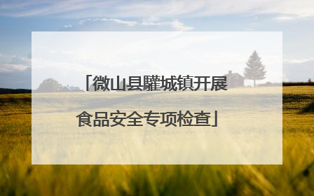 微山县驩城镇开展食品安全专项检查