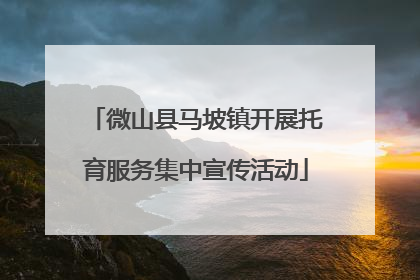 微山县马坡镇开展托育服务集中宣传活动