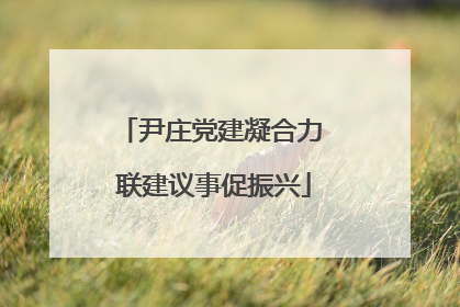尹庄党建凝合力 联建议事促振兴
